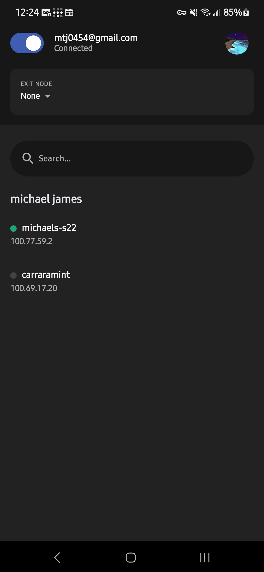 Tailscale Devices — S22